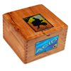 ACID Kuba Kuba (Robusto) (5.0"x54) Box of 24