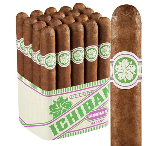 Room 101 Ichiban Habano